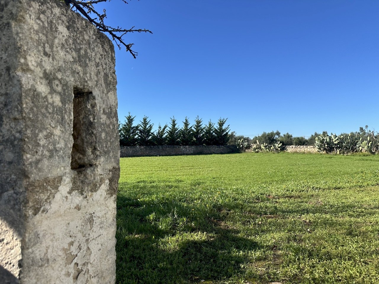 IMG_3971.jpeg - Villa Contrada Montestazzo 1, Carovigno - photo 3