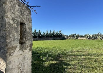 IMG_3971.jpeg - Villa Contrada Montestazzo 1, Carovigno - foto 3