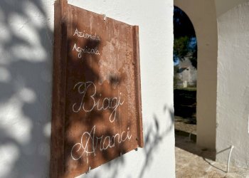 IMG_4001.jpeg - Villa Contrada Montestazzo 1, Carovigno - foto 19