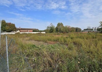 20251016_131849.jpg - Terreno edificabile via Toscana, Cornegliano Laudense - foto 7