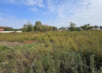 20251016_131850.jpg - Terreno edificabile via Toscana, Cornegliano Laudense - foto 8