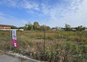 20251016_131910.jpg - Terreno edificabile via Toscana, Cornegliano Laudense - foto 13