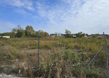 20251016_131911.jpg - Terreno edificabile via Toscana, Cornegliano Laudense - foto 14