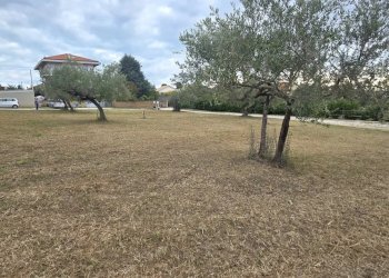 Terreno edificabile Collecorvino - foto 1