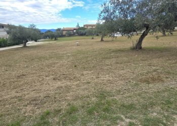 Terreno edificabile Collecorvino - foto 3