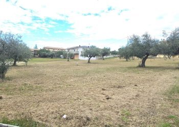 Terreno edificabile Collecorvino - foto 4