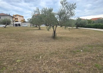 Terreno edificabile Collecorvino - foto 5