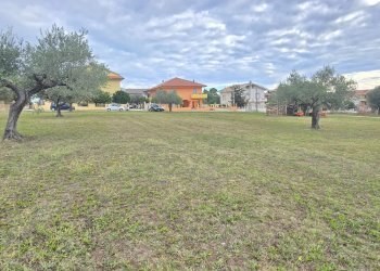 Terreno edificabile Collecorvino - foto 3