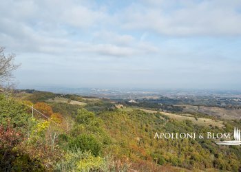 Rustic Torrita di Siena - photo 19