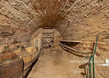 Rustic Torrita di Siena - photo 28