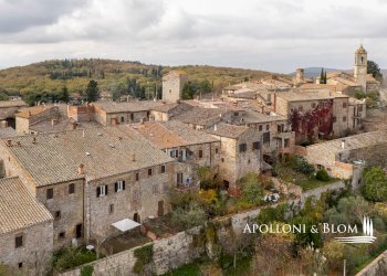 Rustic Torrita di Siena - photo 30