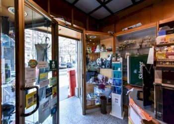 Tabaccheria Torino (zona Parella) - foto 15