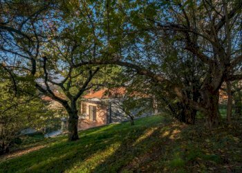 Villa Torino (neighborhood Collina) - photo 48