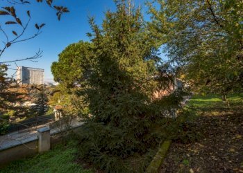 Villa Torino (neighborhood Collina) - photo 49