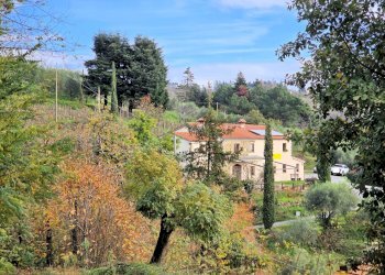 Foto 5 - Rustico Marliana - foto 5