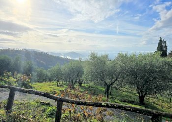 Foto 7 - Rustico Marliana - foto 7