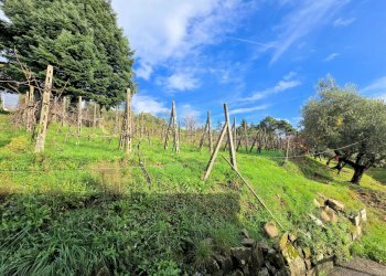 Foto 11 - Rustico Marliana - foto 11