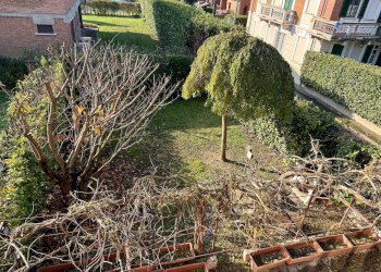 Foto 35 - Casa indipendente Alessandria - foto 35