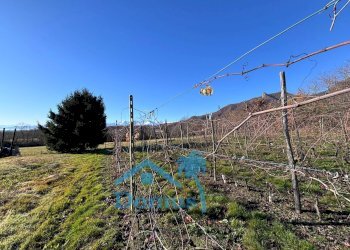 Foto 60 - Rustic Strada Tavernette, Cumiana - photo 60