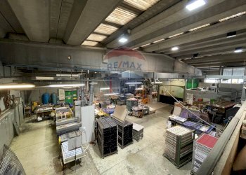 Capannone - Capannone VIA GIUSEPPE DI VITTORIO
 
19, Firenze - foto 17