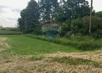 Giardino - Casa semi indipendente Via Argine Po
 
114, San Benedetto Po - foto 22