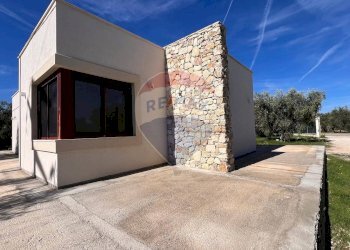 esterno - Villa Oro Di Puglia
 
SNC, Vieste - foto 12