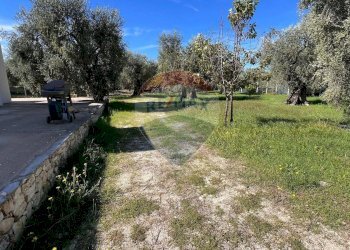 esterno - Villa Oro Di Puglia
 
SNC, Vieste - foto 18