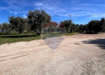 esterno - Villa Oro Di Puglia
 
SNC, Vieste - foto 19