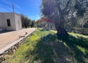 esterno - Villa Oro Di Puglia
 
SNC, Vieste - foto 20