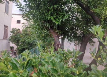 Foto 44 - Villa sirignano, Sirignano - foto 44