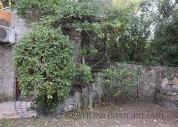 Foto 33 - Villa Via Romana, Marino - foto 33