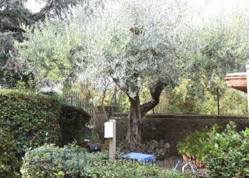 Foto 39 - Villa Via Romana, Marino - foto 39