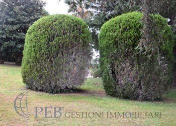 Foto 62 - Villa Via Romana, Marino - foto 62