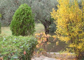 Foto 83 - Villa Via Romana, Marino - foto 83