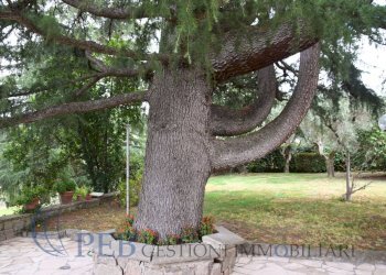 Foto 90 - Villa Via Romana, Marino - foto 90