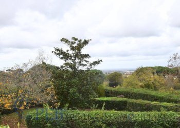 Foto 94 - Villa Via Romana, Marino - foto 94