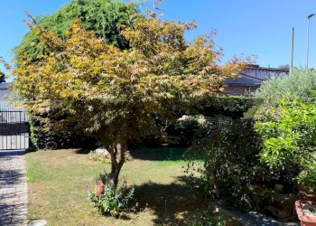 Giardino - Terraced Villa via leoncavallo 4
 
4, Vergiate - photo 7