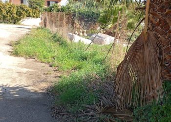 Giardino - Terreno edificabile Cerasella, Ragusa - foto 5