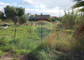 Giardino - Terreno edificabile Cerasella, Ragusa - foto 8