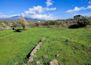 Foto 2 - Terreno agricolo Paterno - foto 2