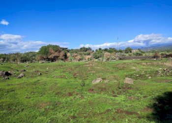 Foto 4 - Terreno agricolo Paterno - foto 4