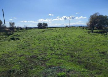 Foto 5 - Terreno agricolo Paterno - foto 5