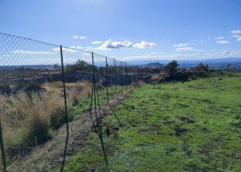 Foto 6 - Terreno agricolo Paterno - foto 6