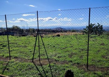 Foto 7 - Terreno agricolo Paterno - foto 7