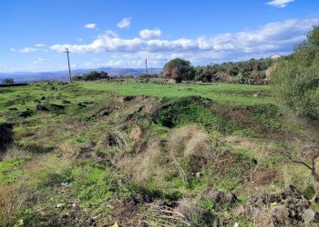 Foto 8 - Terreno agricolo Paterno - foto 8