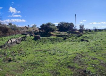 Foto 9 - Terreno agricolo Paterno - foto 9