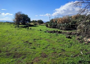 Foto 10 - Terreno agricolo Paterno - foto 10