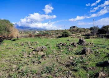 Foto 11 - Terreno agricolo Paterno - foto 11