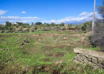 Foto 12 - Terreno agricolo Paterno - foto 12