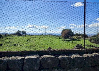 Foto 14 - Terreno agricolo Paterno - foto 14